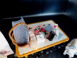 doug james provence picnic